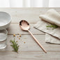 Dinner Spoon Slim Design